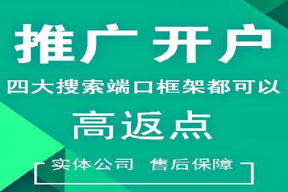 百度SEM广告投放的五大成功案例分享